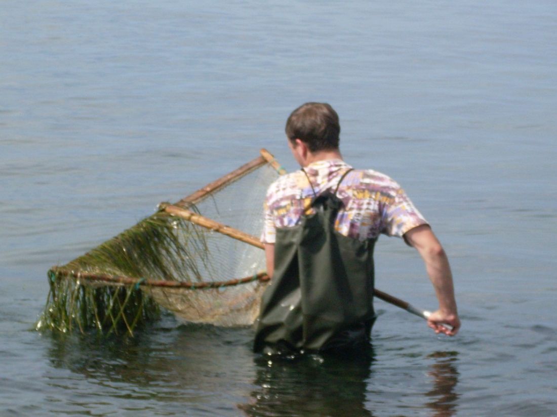 Как Ловить Рыбу На Креветку На Реке