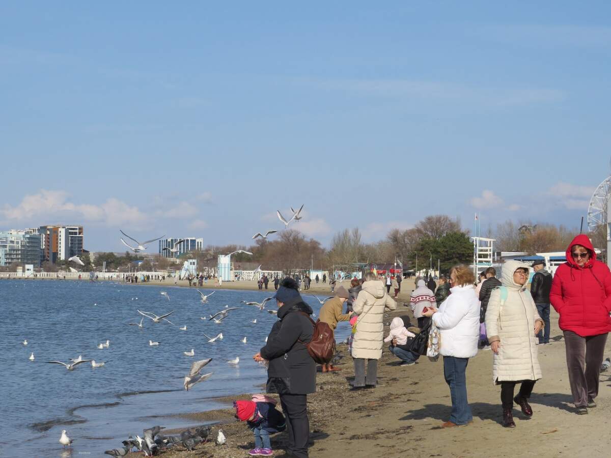 Какая погода в анапе в феврале