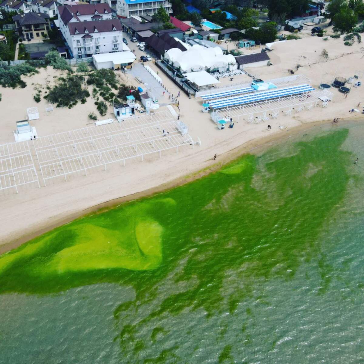 Море в Анапе летом