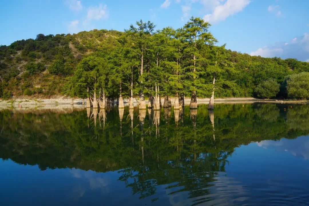 Анапа озеро сукко кипарисы