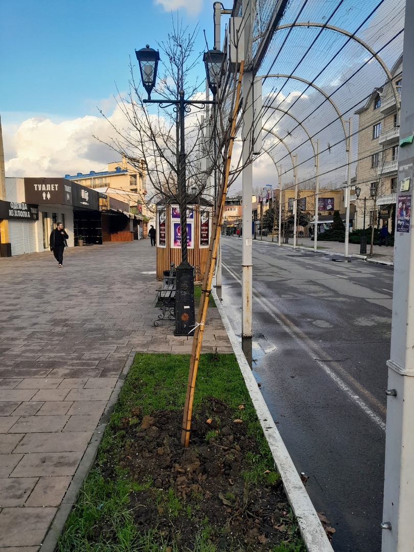 Новости анапа регион сегодня